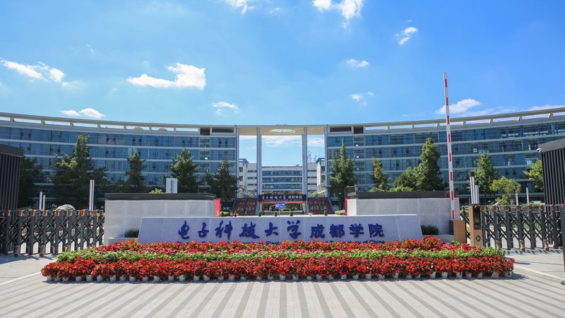 国内芯片制造厂家排名揭秘：十大实力派企业解析