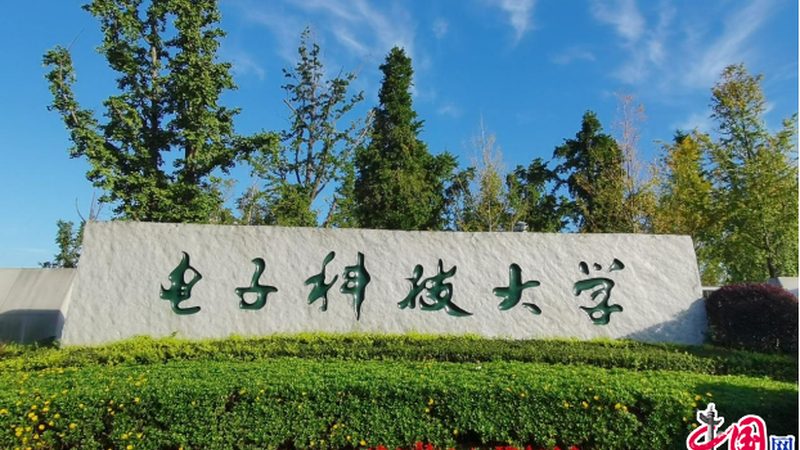 小批量电子加工定制：揭秘其背后的工艺与挑战**
